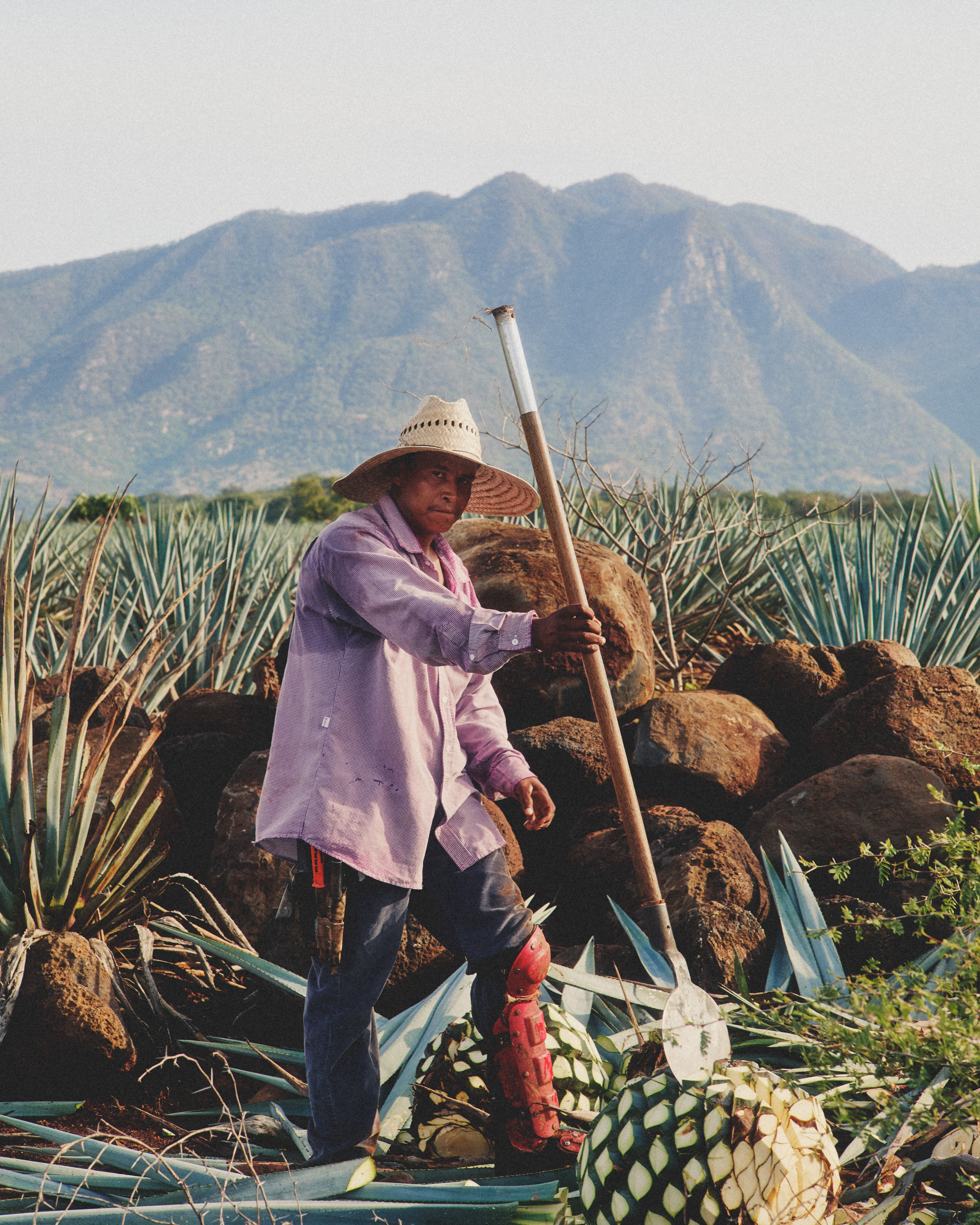 Lukens Studio Lunazul Tequila Liquor Commercial Photo