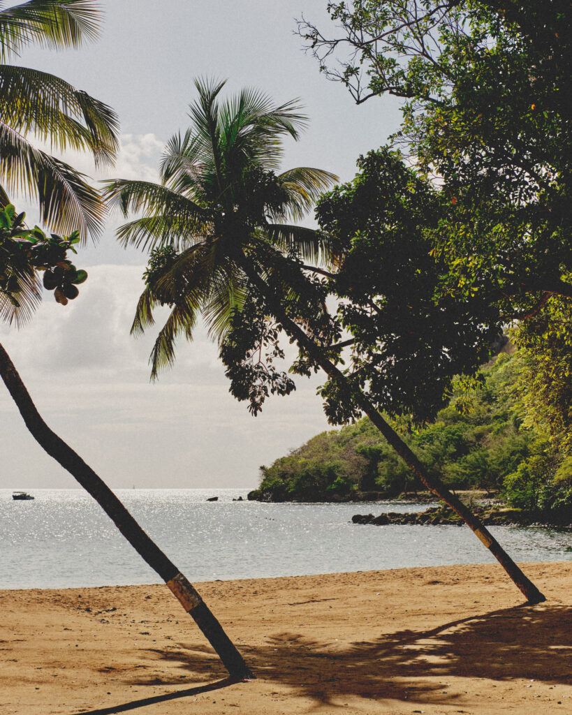 Lukens Studio Saint Lucia Travel Photo